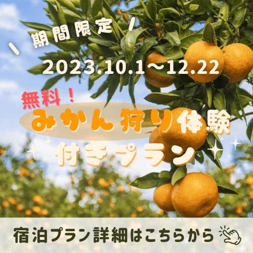 無料みかん狩り体験付きプラン