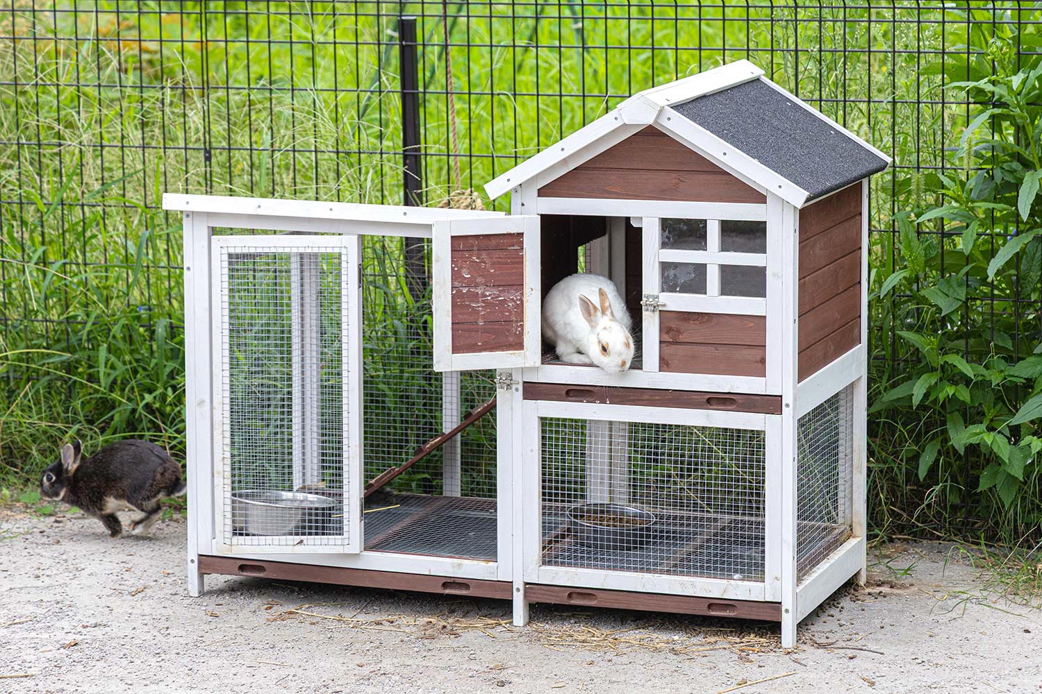 グランアイラの動物エリアにあるうさぎ小屋